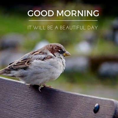 It Will Be A Beautiful Day Morning Wishes Images